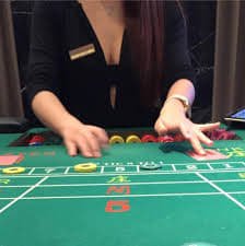 3666bet